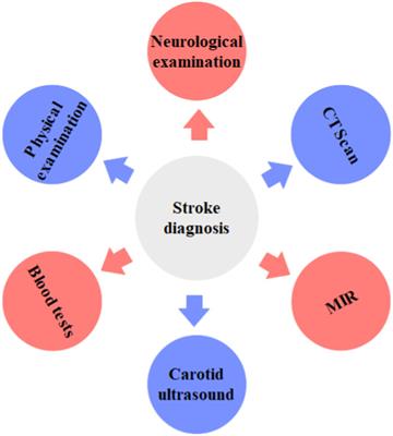 Stroke rehabilitation: from diagnosis to therapy